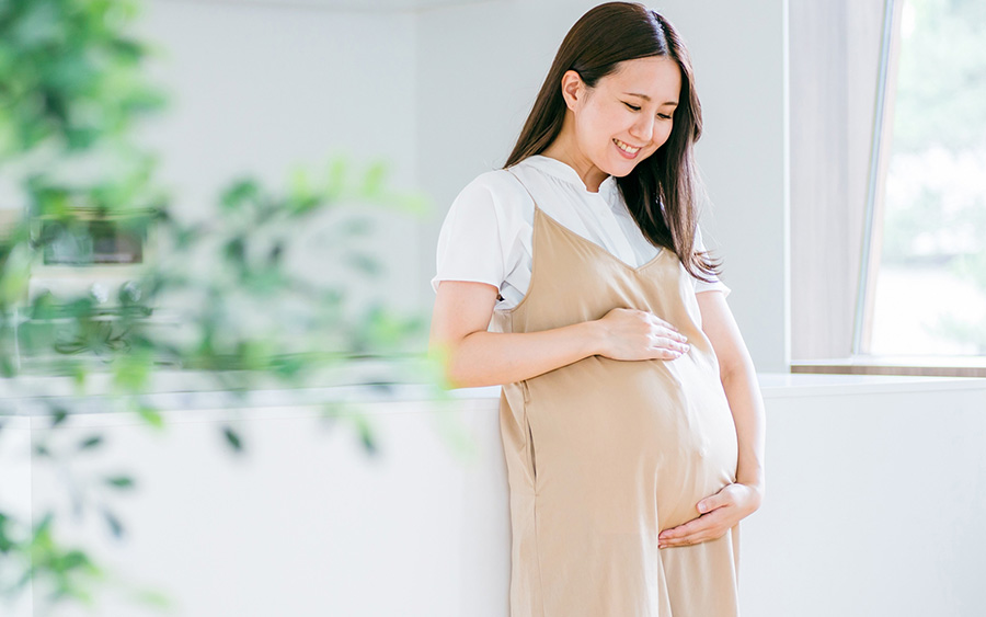 妊婦の歯の健康相談